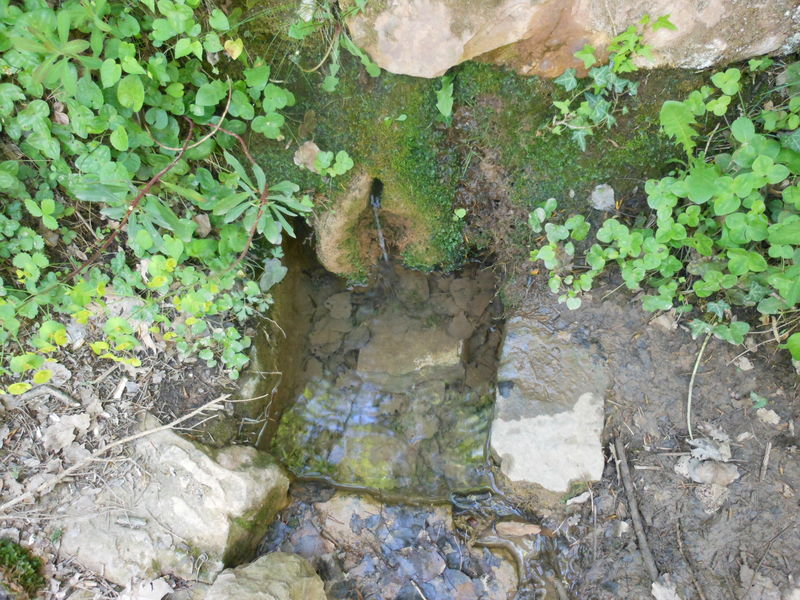 Font Canaleta
