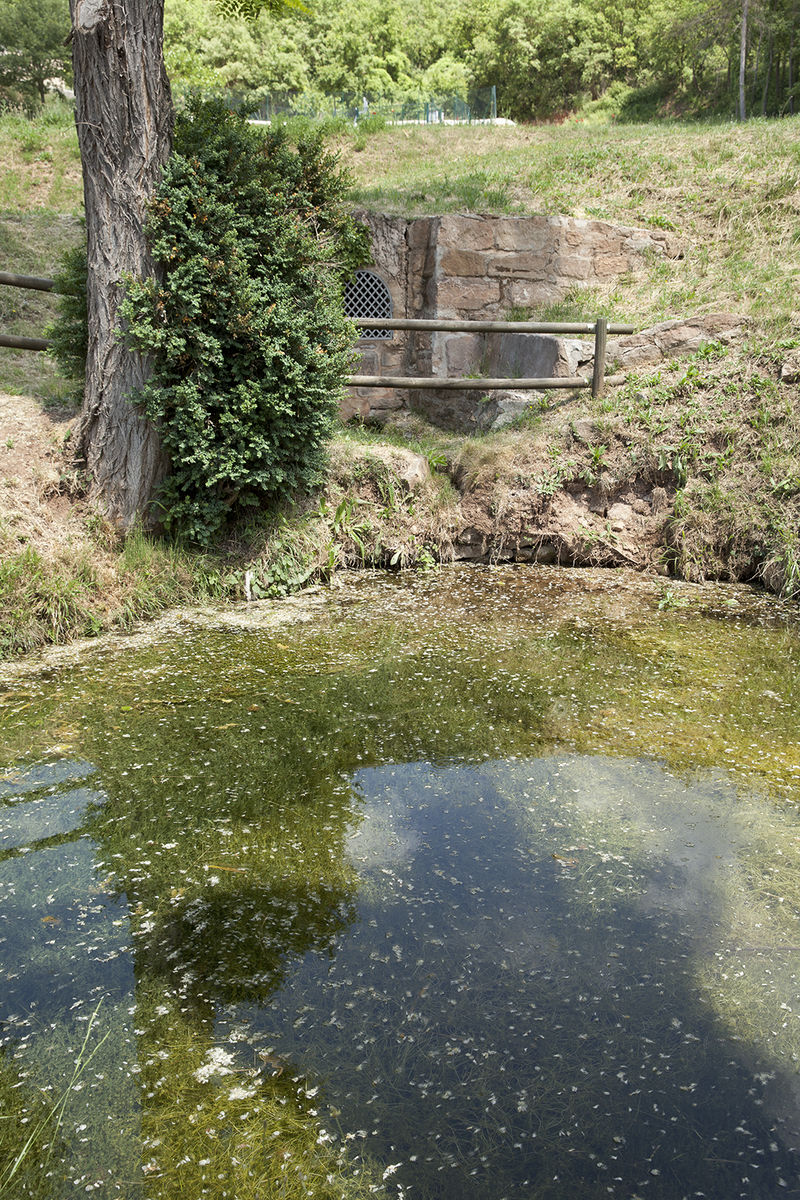 Font de Sant Antoni