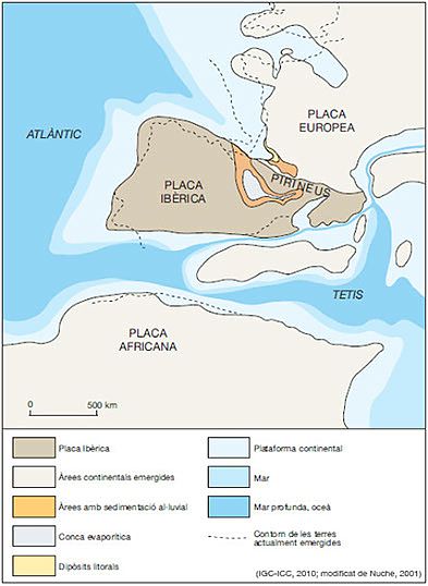 L'estany (dessecat)
