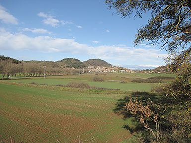 L'estany (desecado)