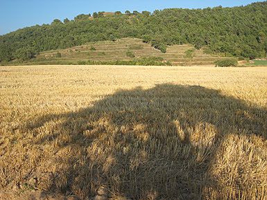 L'estany (desecado)