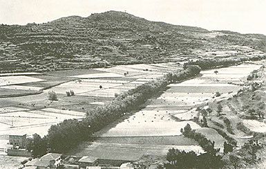 L'estany (desecado)