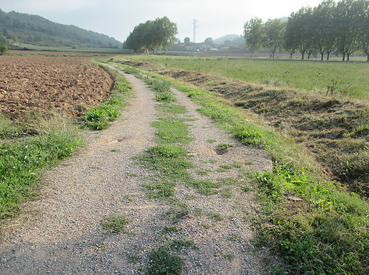 Canals de dessecació de l'estany