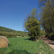 Camí de Vic