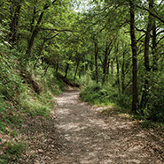 Camí Ramader