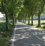 Carretera de Moià