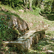 Font dels Bous