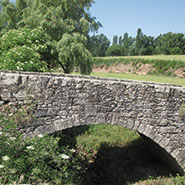 Pont de les Graus. Moià