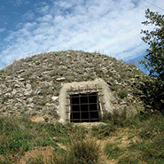 Poua de la Vinyota. Castellterçol
